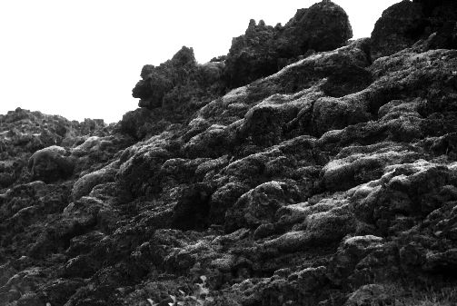 Image 83<br>20 ao&ucirc;t 2008<br>Neige ? Lichens !